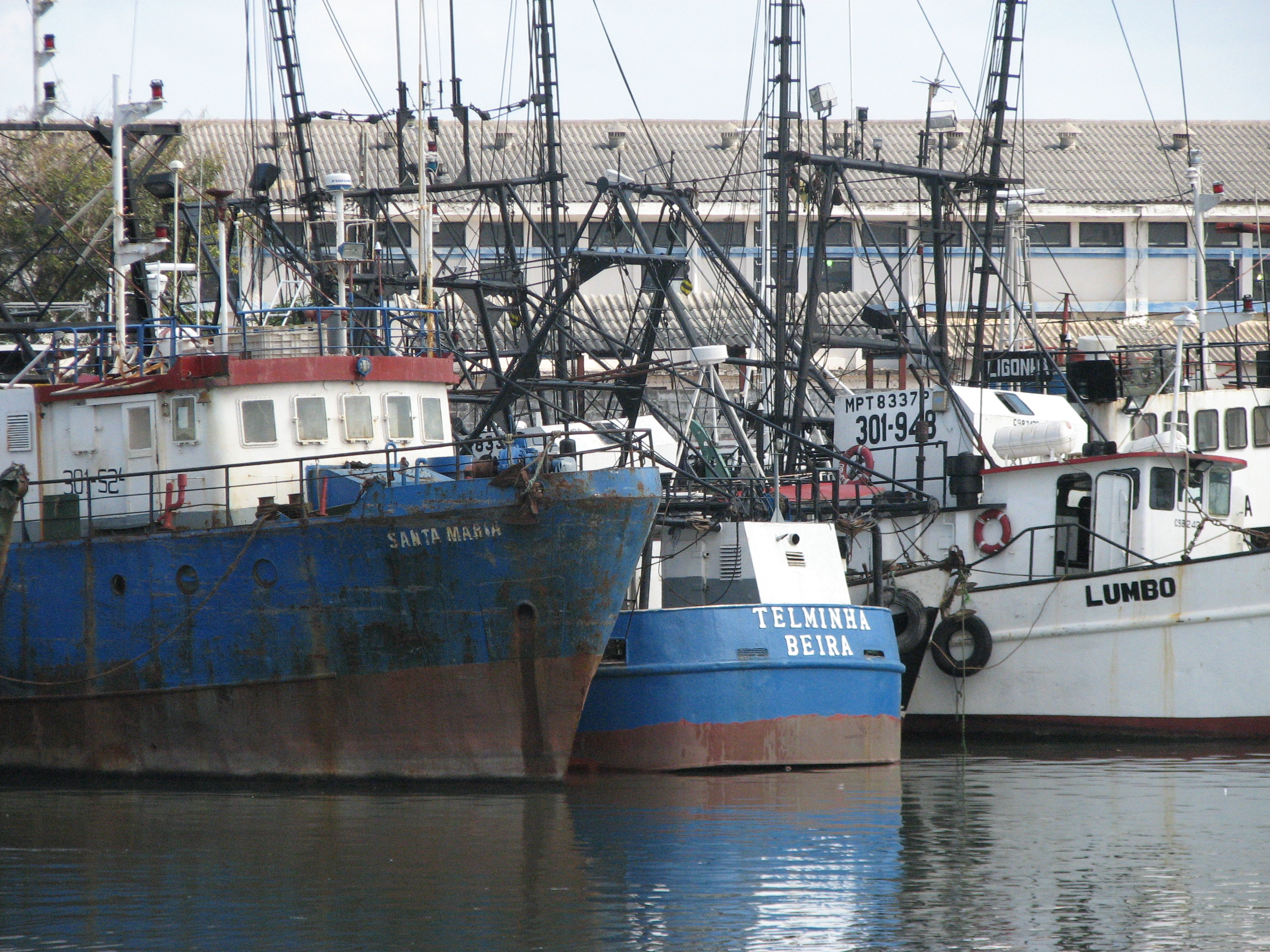 Mozambique thiệt hại 70 triệu USD mỗi năm do đánh bắt bất hợp pháp