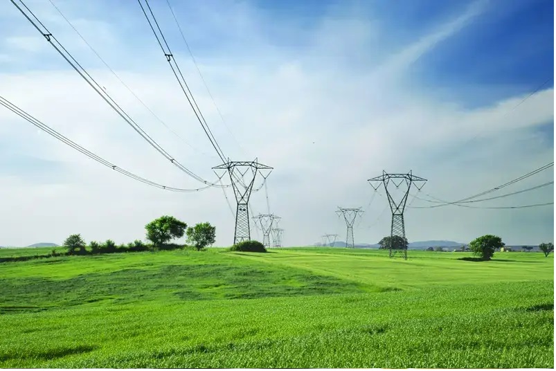 Ecuador Phân bổ năng lượng khiến ngành tôm tiêu tốn 5 triệu USDngày 