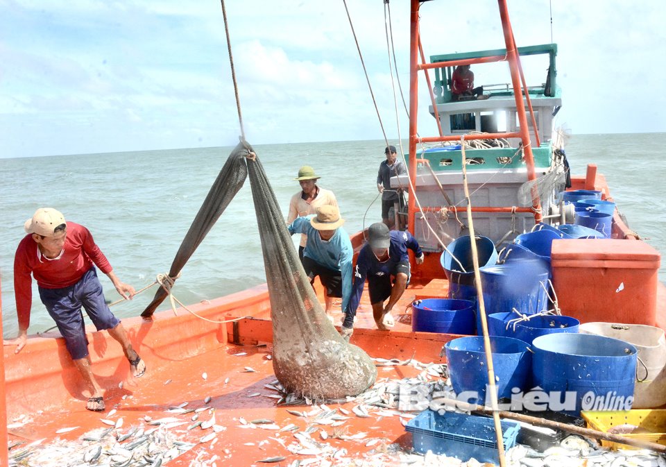 Phát triển và khai thác thủy sản bền vững Trách nhiệm của cả cộng đồng