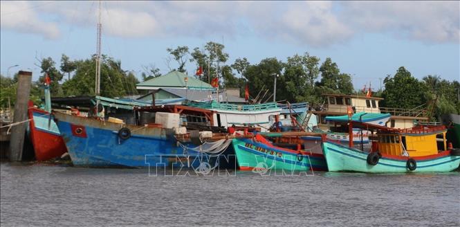 Ngư dân gặp khó vụ khai thác hải sản cuối năm