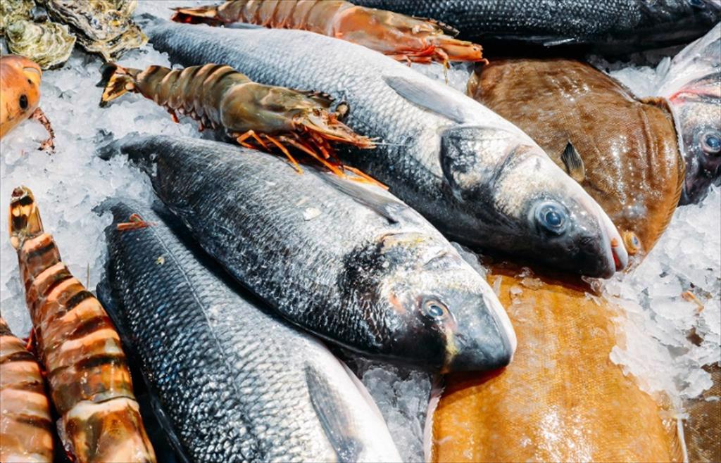 Trung Quốc Nhu cầu thủy sản có nhãn bền vững tăng gấp 6 lần 