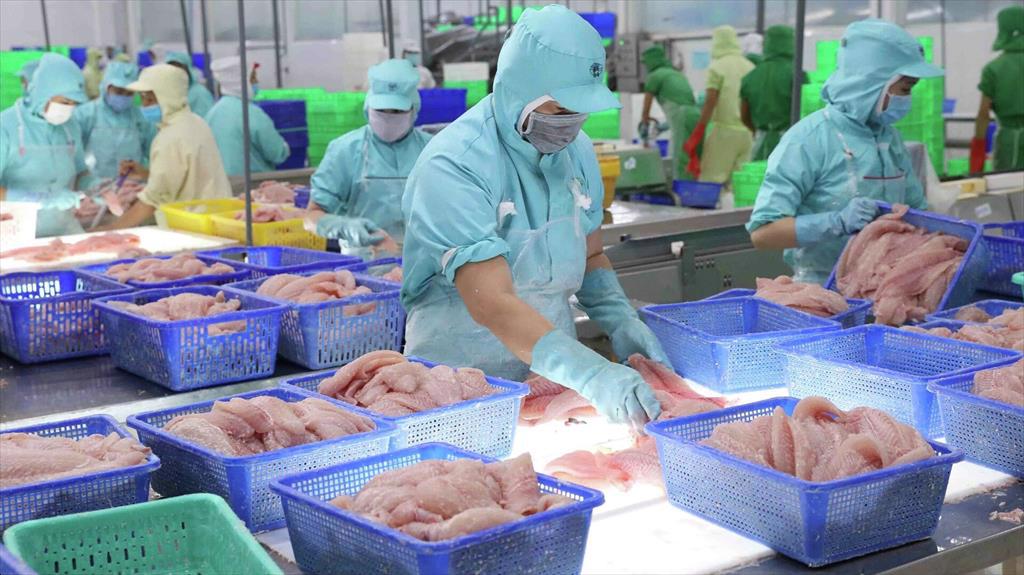 Infographic Xuất khẩu cá tra Việt Nam 10 tháng đầu năm 2023