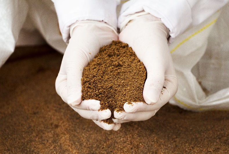 Thị trường bột cá Peru đối mặt với nhiều thách thức