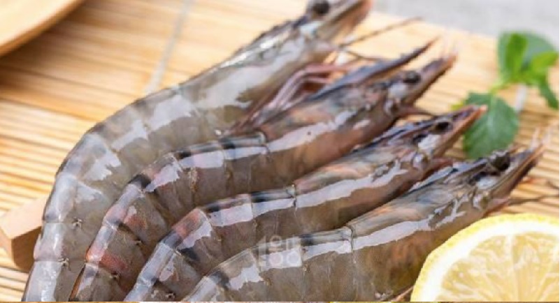 Sản lượng tôm nuôi toàn cầu sẽ giảm 1% năm 2023