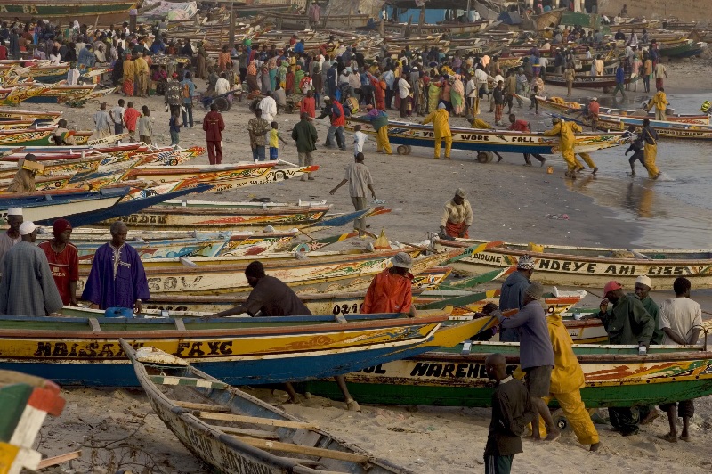 Các nước Tây Phi nên hợp tác cùng nhau để chống khai thác IUU