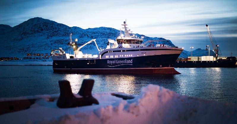 Greenland giảm hạn ngạch tôm nước lạnh xuống dưới 100.000 tấn năm 2025