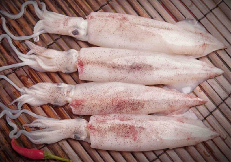 Trung Quốc Sản lượng khai thác mực tăng nhưng xuất khẩu giảm