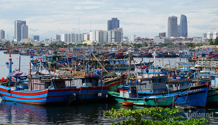Chống khai thác IUU Không lắp thiết bị giám sát, tàu cá không được xuất bến