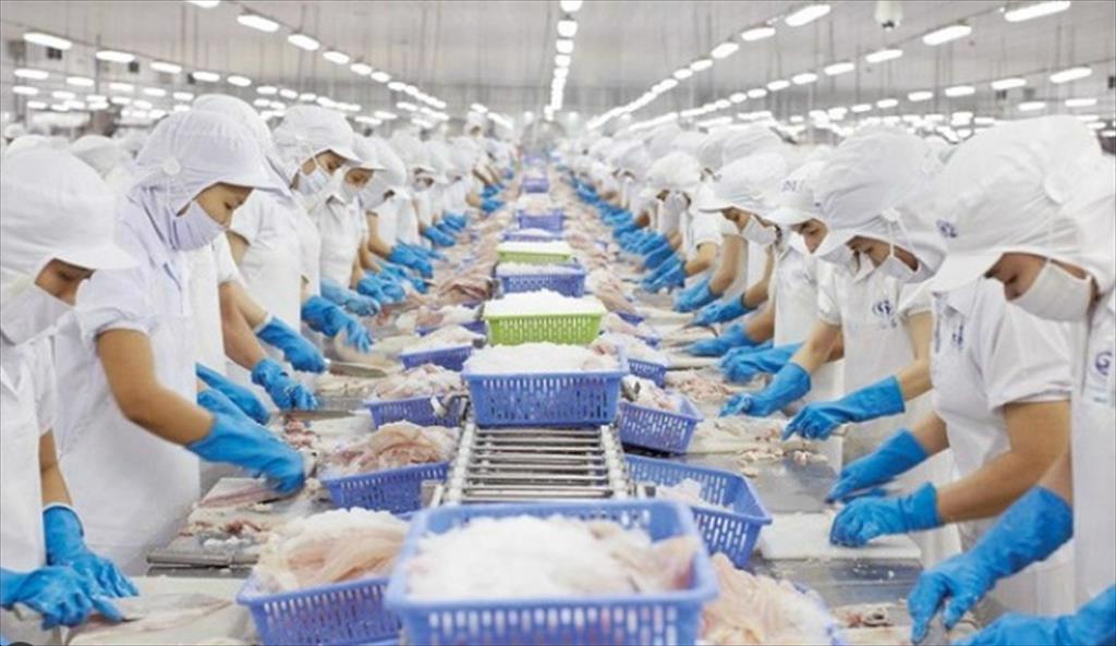 Xuất khẩu thủy sản tháng 112023 tăng 6%