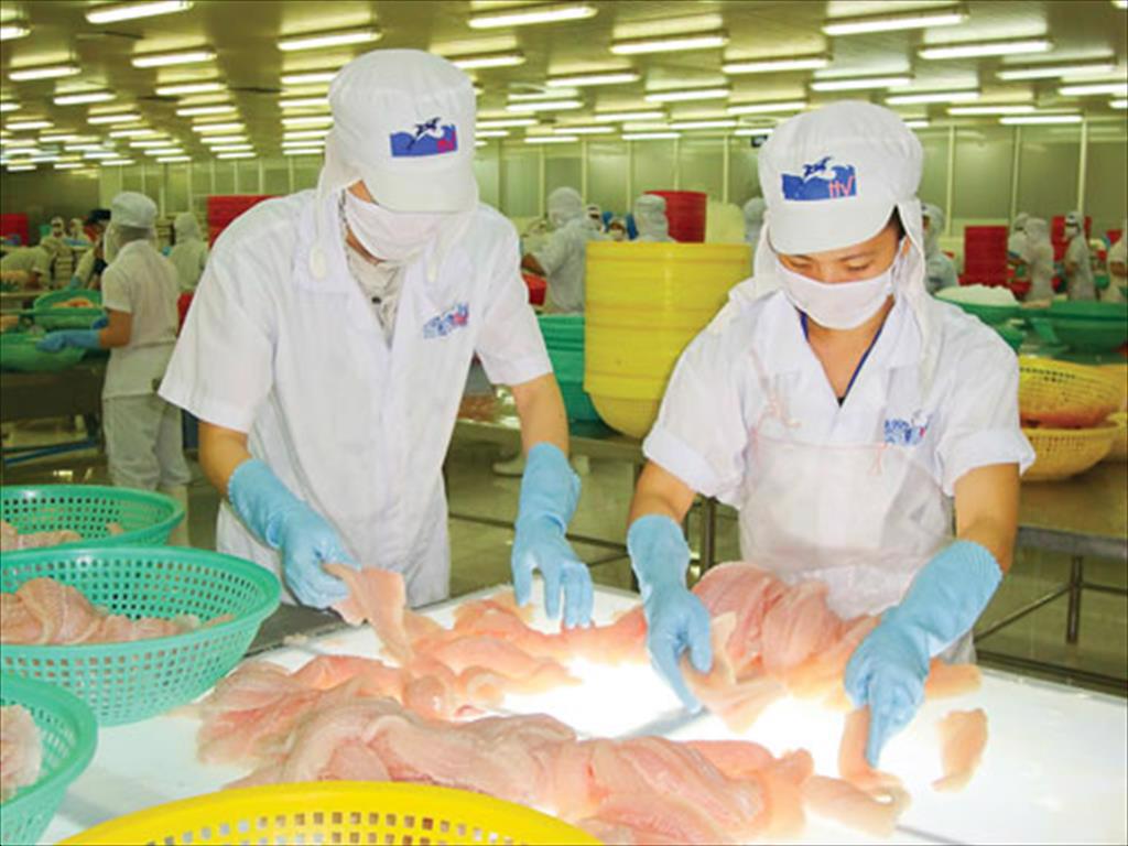 Doanh nghiệp cá tra Việt Nam tăng xuất khẩu sản phẩm GTGT sang Trung Quốc