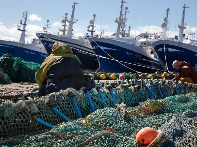 Nga đánh bắt được hơn 4,9 triệu tấn cá tính tới tháng 11 