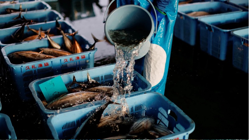 Ấn Độ khó đạt mục tiêu xuất khẩu thủy sản năm 2024 là 9,25 tỷ USD