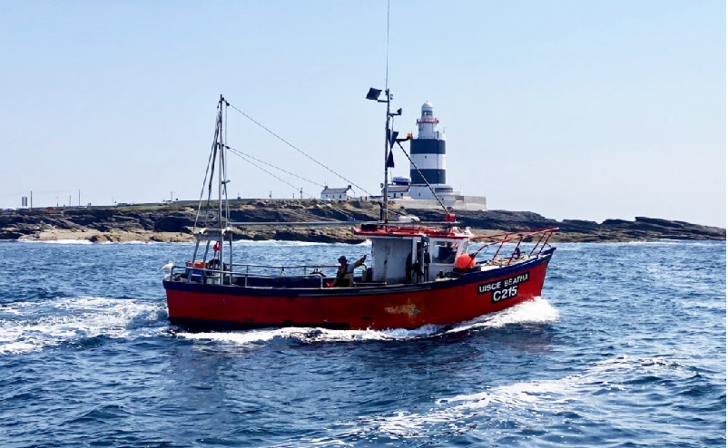 Thủy sản Ireland có lượng khí thải carbon thấp 