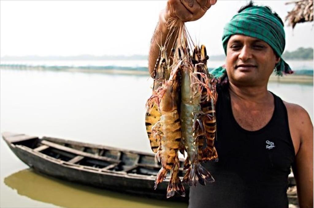 Sản lượng thủy sản toàn cầu sẽ phục hồi vào năm 2024 