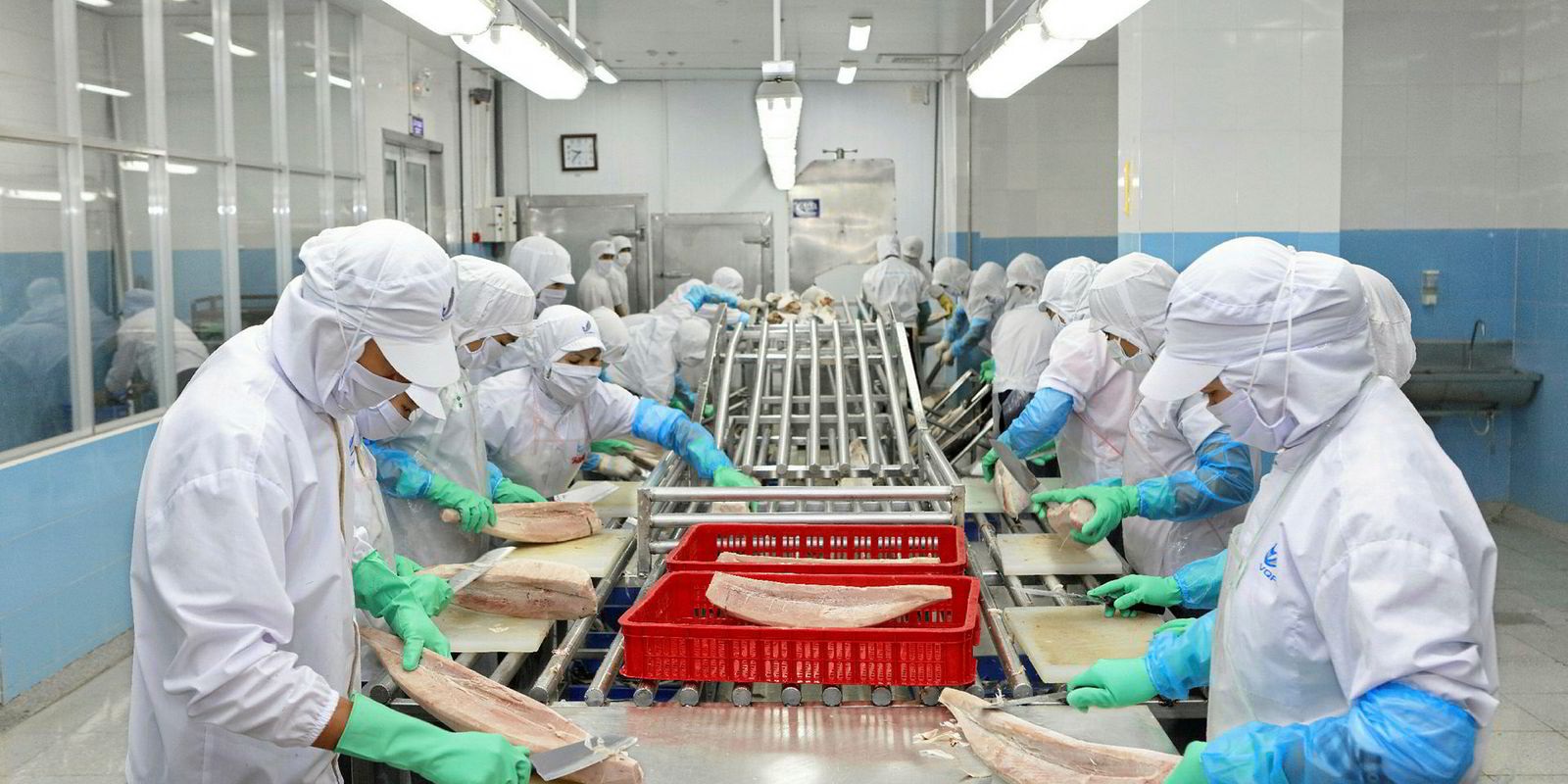 Xuất khẩu cá ngừ đóng hộp sang Lithuania tăng 195%