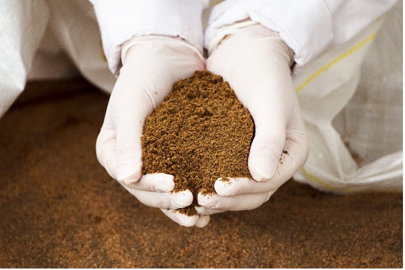 Rabobank Giá bột cá năm 2024 chưa thể hạ nhiệt  