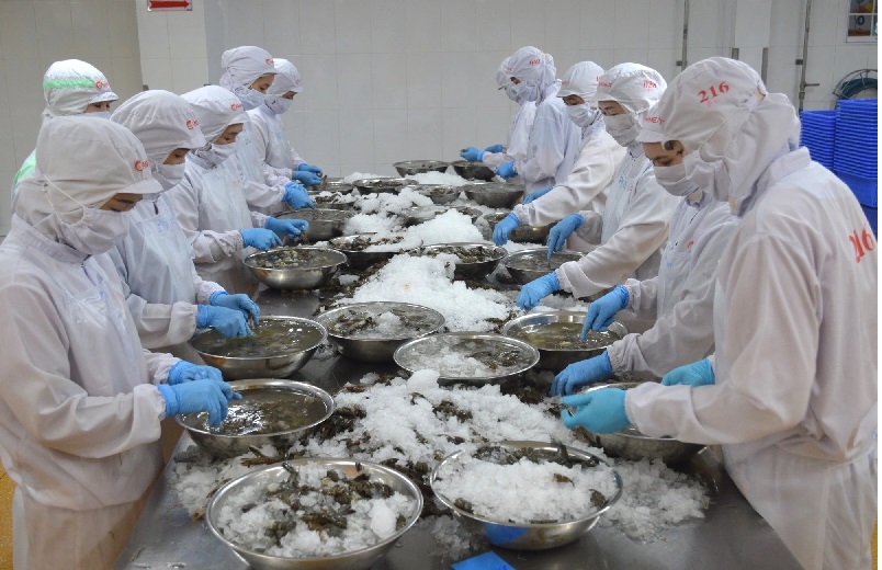 Phận đời doanh nhân  