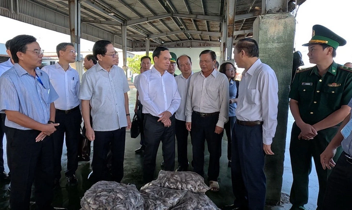 Phó thủ tướng Trần Lưu Quang yêu cầu dồn nhân lực, nguồn lực để gỡ thẻ vàng EC