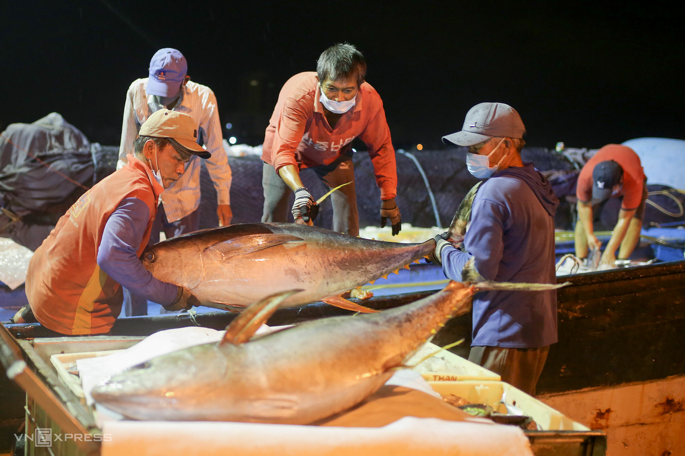 Xuất khẩu cá ngừ tháng 112023 nhiều “sắc xanh”