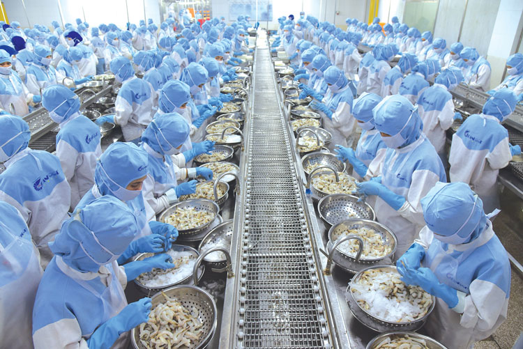 VASEP gửi Văn phòng Chính phủ báo cáo tháng 112023 về vướng mắc cần tháo gỡ của DN thủy sản 