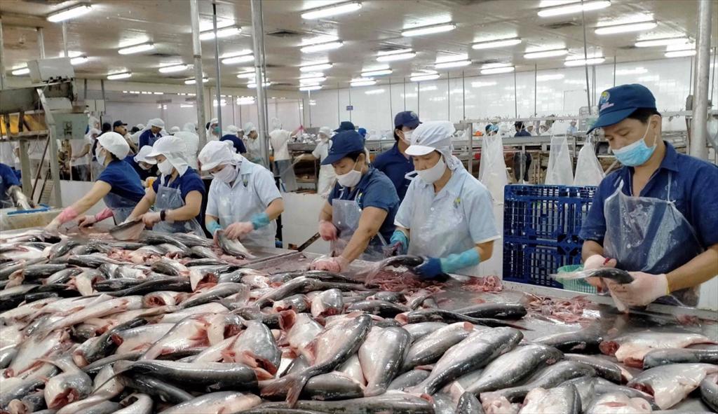 Vietnams pangasius exports may only reach 1.8 billion USD in 2023
