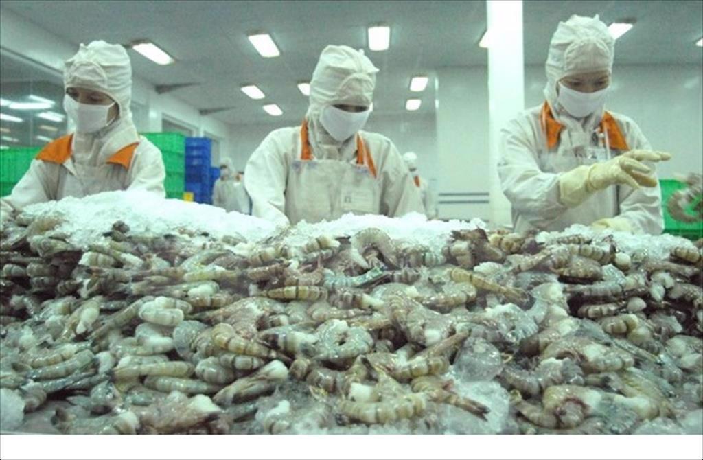 Ngành tôm châu Á có nguy cơ mất thêm thị phần do tự động hóa ở Mỹ Latinh