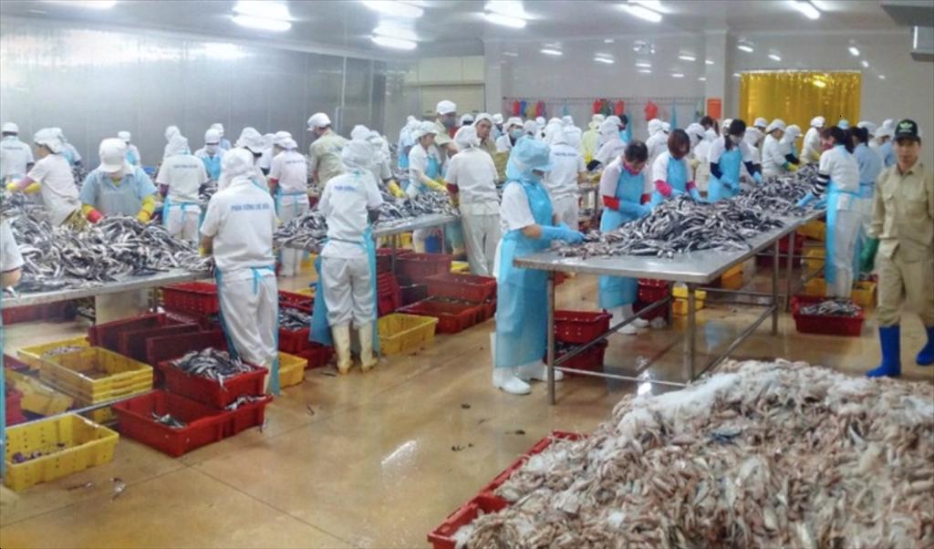Xuất khẩu surimi và bột cá đặt mục tiêu 1 tỉ USD, kỳ vọng giúp ngành thủy sản vượt khó