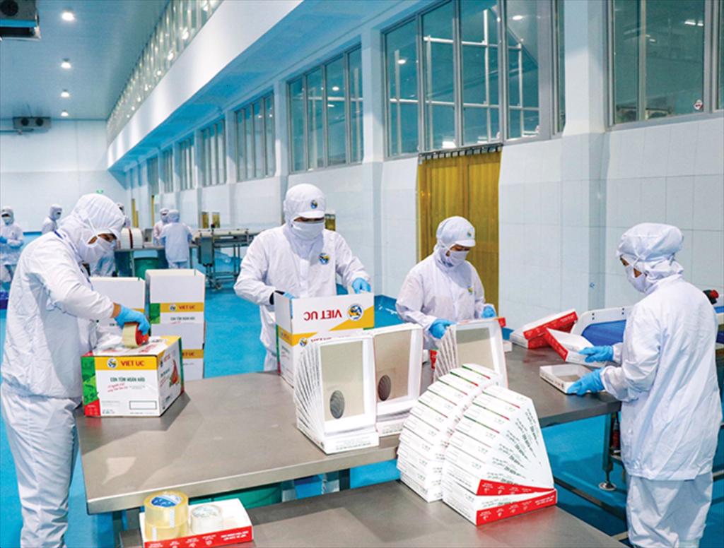 Bạc Liêu hướng đến xuất khẩu tôm đạt 1,3 tỉ USD