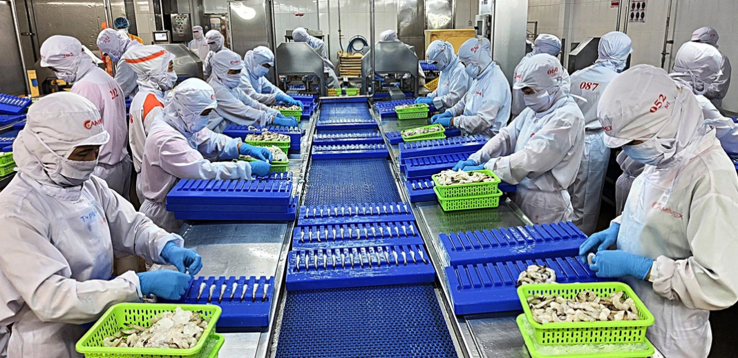 Con tôm Việt đối mặt khó khăn mới, đầy phức tạp