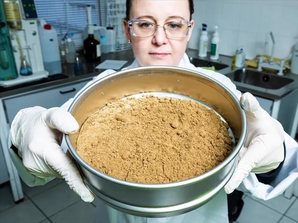 Nhu cầu bột cá và dầu cá tiếp tục giảm trên toàn cầu