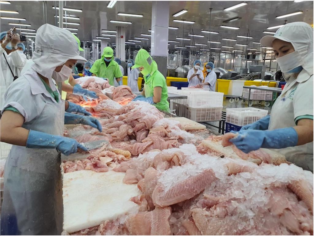 Đi qua điểm rơi, tìm lợi thế để ngành cá tra ‘tăng tốc’