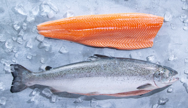 Nguồn cung cá hồi bắt đầu tăng trưởng vào năm 2024 nhờ Na Uy 