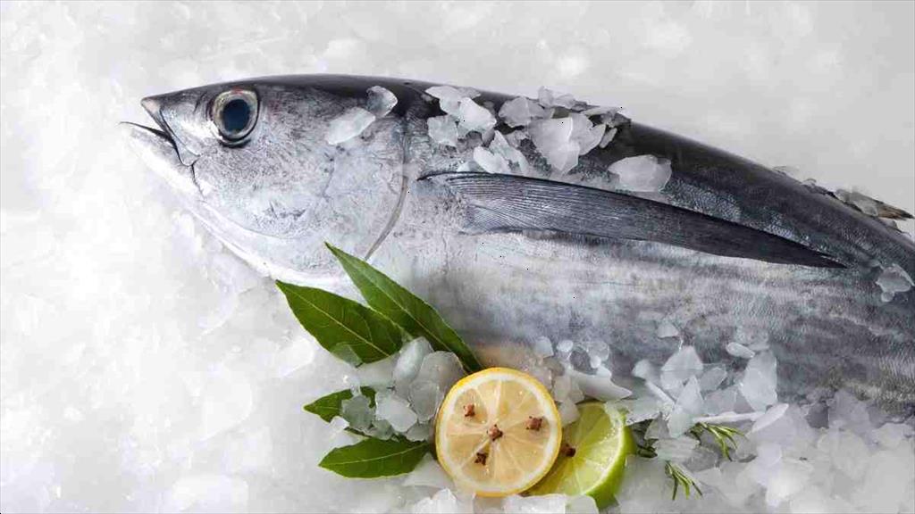 Xuất khẩu cá ngừ sang Canada “tăng tốc” về đích