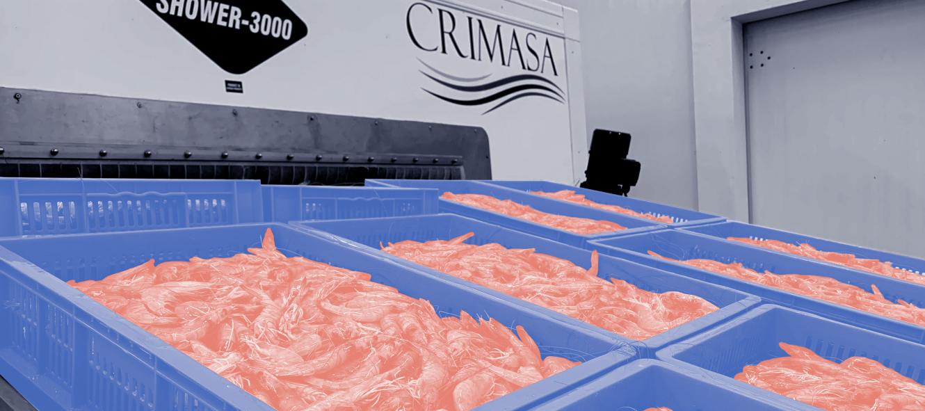 Ngành tôm Ecuador thâm hụt 1,5 tỷ USD năm 2023