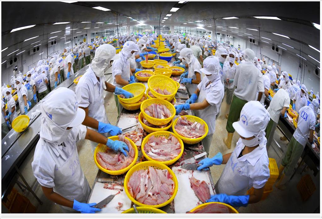 Dự báo xuất khẩu thủy sản phục hồi nhẹ vào đầu năm 2024