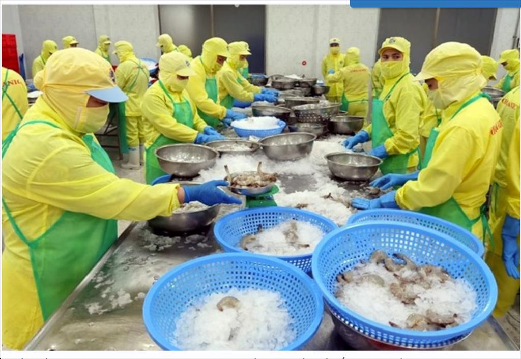 Thách thức xuất khẩu 9,5 tỉ USD của thủy sản Việt Nam năm 2024