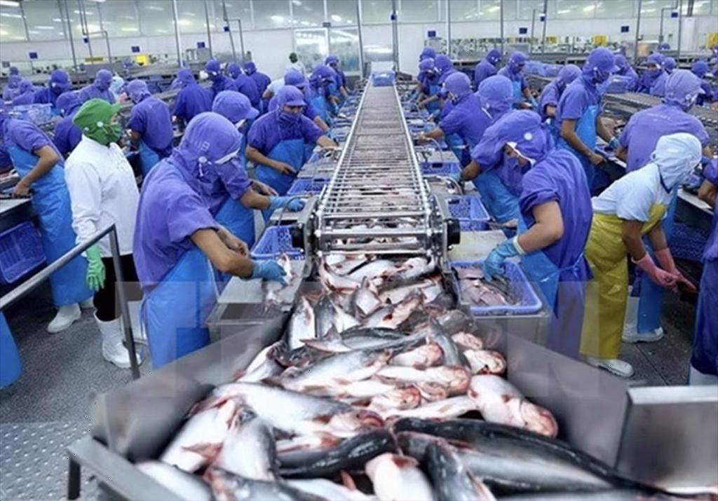 November 2023 Brazil imported the most Vietnam’s pangasius since the start of the year