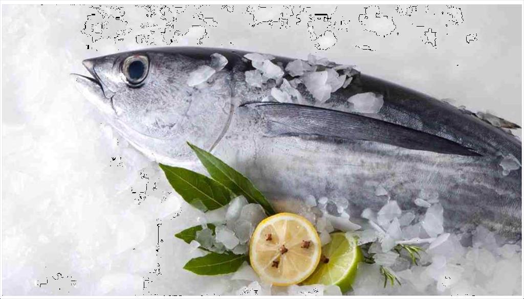 Vietnam tuna exports to Canada accelerated 