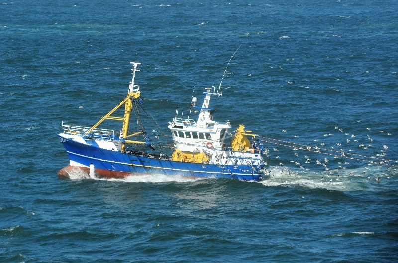 Anh Các nhà bảo tồn kêu gọi chấm dứt trợ cấp dầu diesel vì đe dọa sức khỏe biển