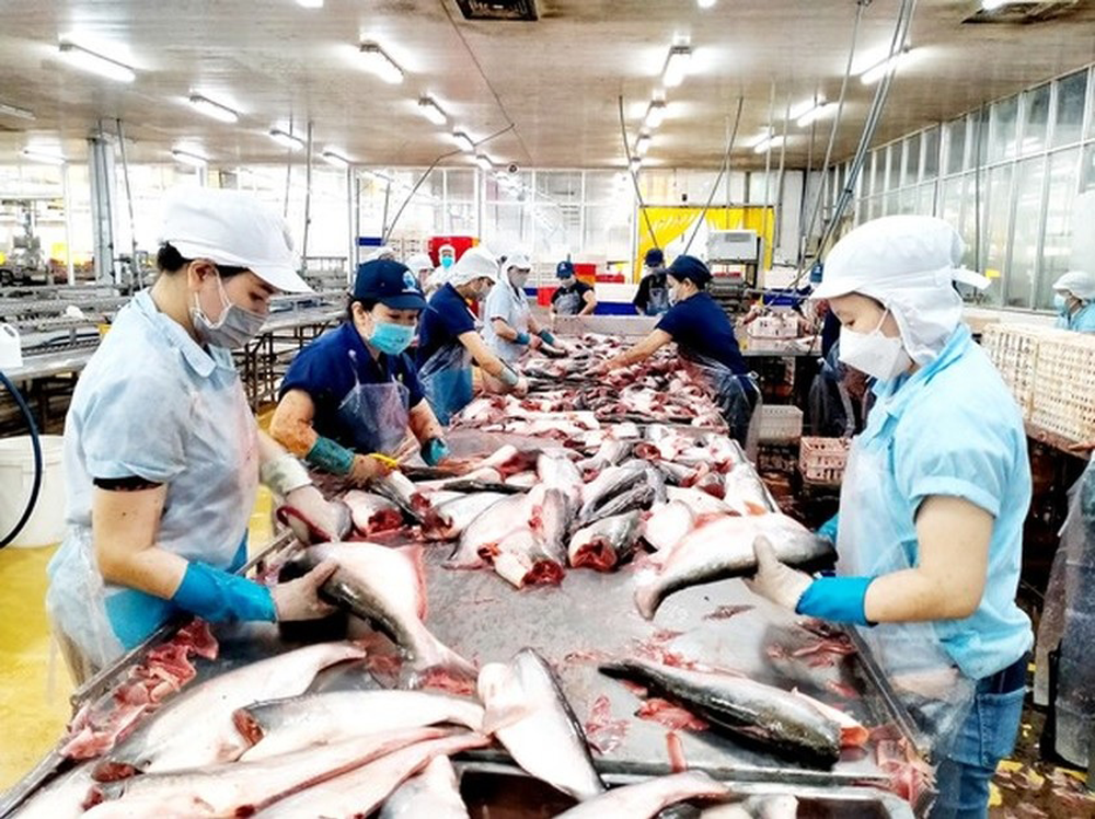 Pangasius exports in 2024 to recover when inventory in markets decreases