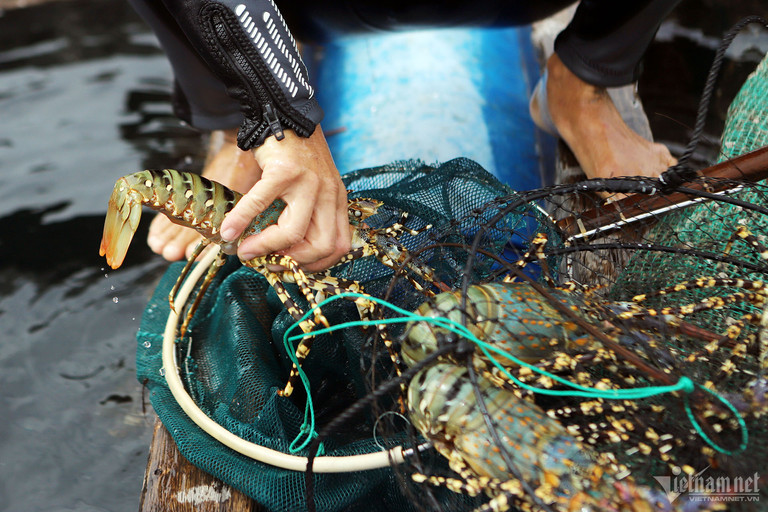 Trung Quốc xem xét tạo cơ chế đặc biệt cho tôm hùm, bỏ lệnh cấm với gia cầm Việt