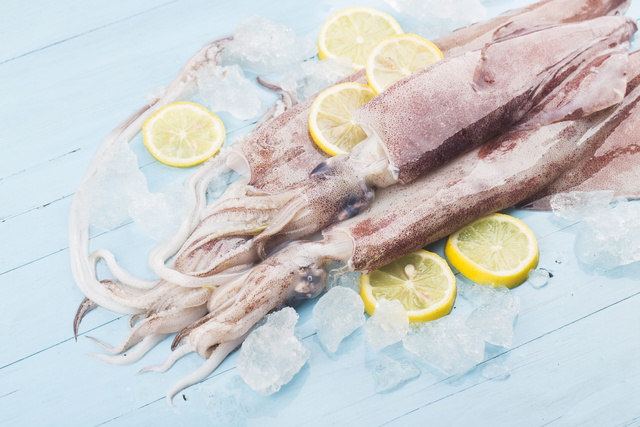 Xuất khẩu mực, bạch tuộc đạt 660 triệu USD năm 2023 