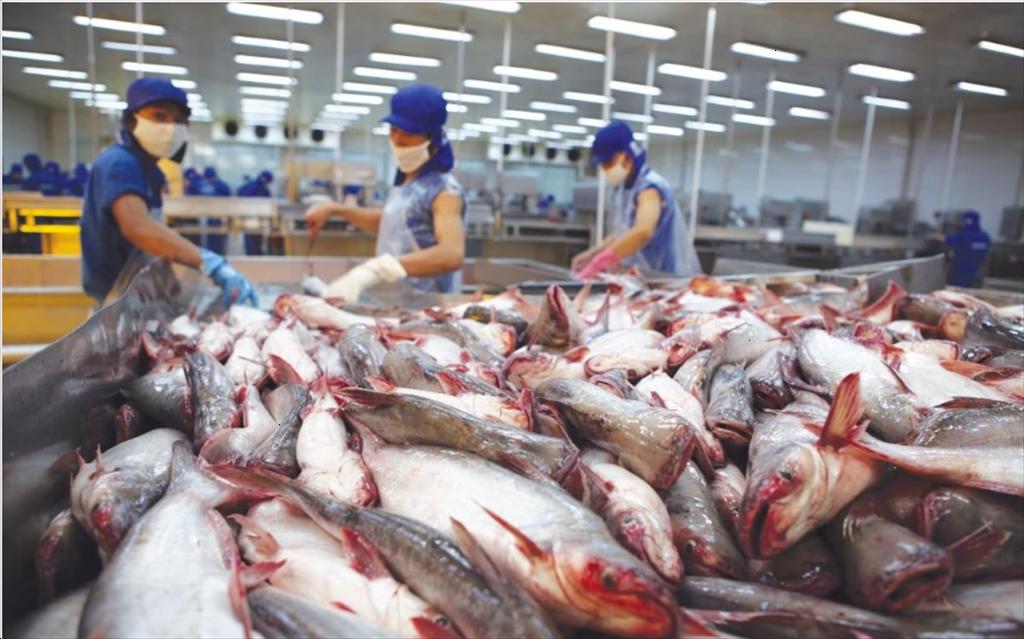 China is expected to increase Vietnamese pangasius consumption in 2024