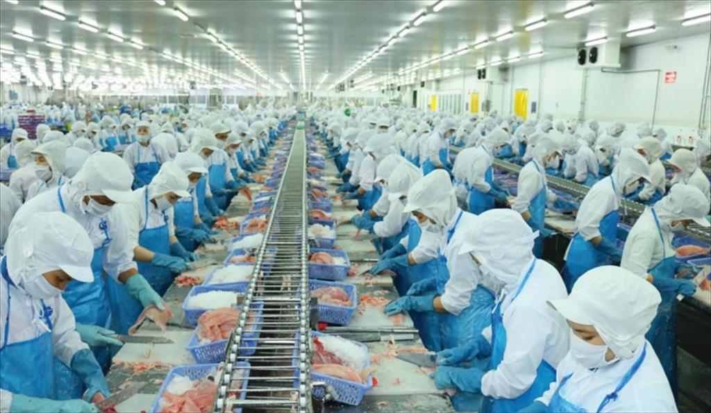 VƯỢT THÁCH THỨC, ĐƯA XUẤT KHẨU THỦY SẢN NĂM 2024 LÊN 9,5 TỶ USD