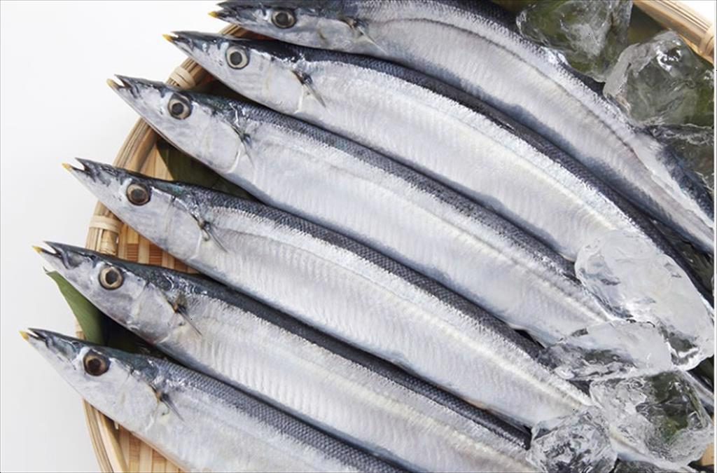 Nhập khẩu cá thu đao của Hàn Quốc giảm 23% trong tháng 122023 