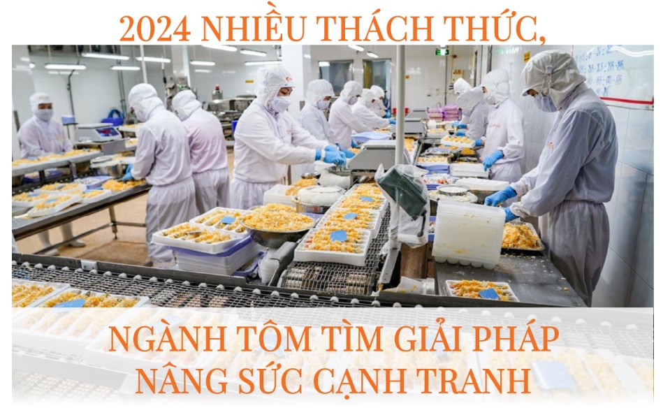 2024 nhiều thách thức, ngành tôm tìm giải pháp nâng sức cạnh tranh 