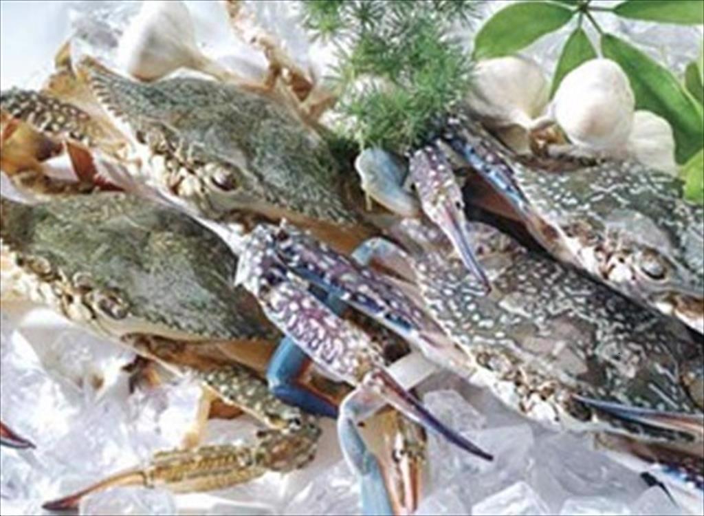 Hàn Quốc Nhập khẩu ghẹ năm 2023 giảm 4% 