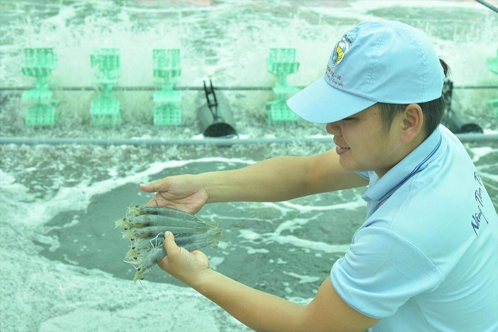 Dự báo tôm và cá tra tăng trưởng năm 2024