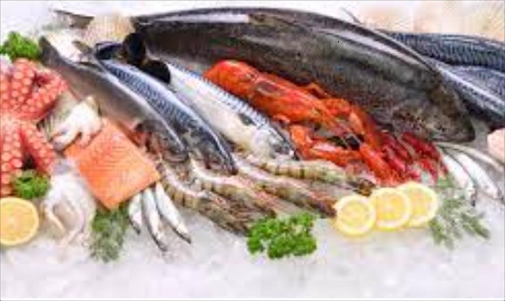 Dự báo nhu cầu thủy sản toàn cầu tới năm 2050 sẽ tăng vọt 