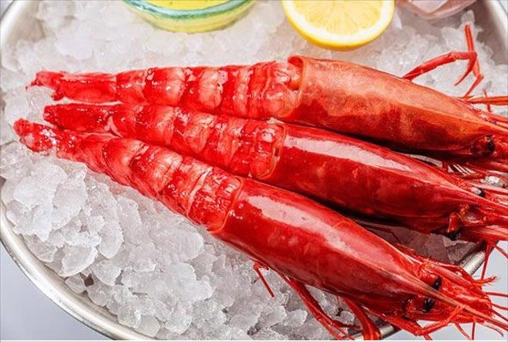 Ngành tôm nội địa Mỹ kiến nghị ngừng nhập khẩu tôm đỏ Argentina